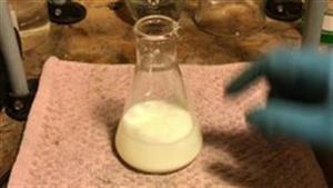 > </div>
<div class=